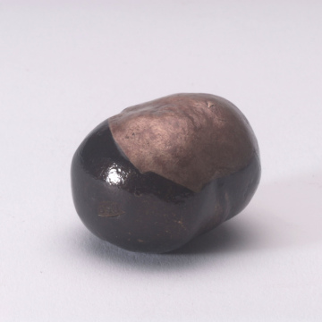 Horse Chestnut Solid Bronze