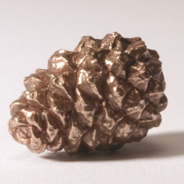 Pine Cone Polished Solid Bronze