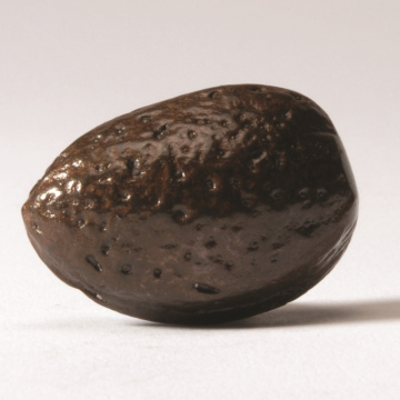 Solid Bronze Almond - Chestnut Brown