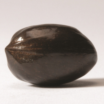 Pecan Chestnut Brown Solid Bronze 
