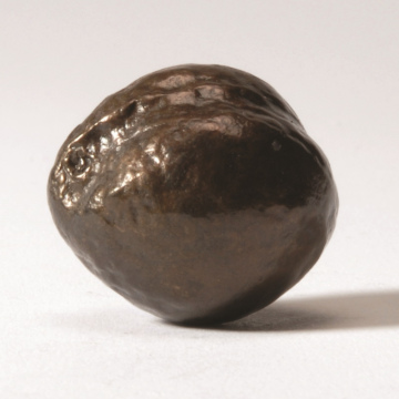 Macadamia Chestnut Brown Solid Bronze
